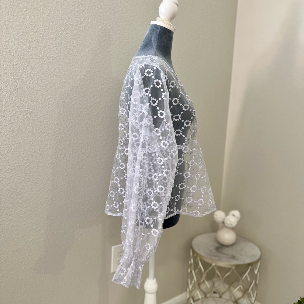 Zara Lilac Sheer Embroidered Floral V-Neck Blouse - Picture 4 of 6